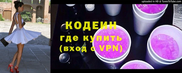 прущие грибы Богданович