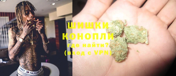 прущие грибы Богданович