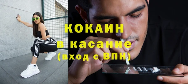 прущие грибы Богданович