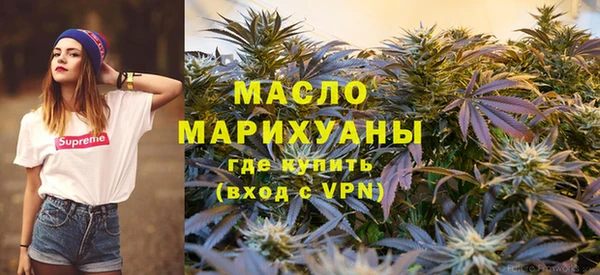 прущие грибы Богданович