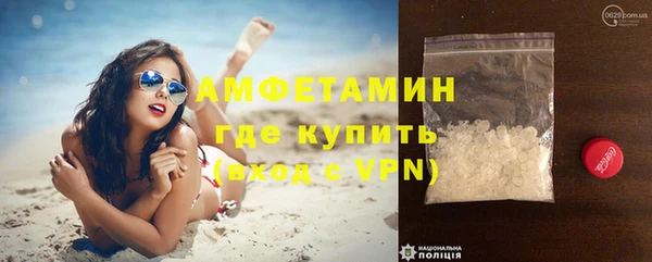 прущие грибы Богданович