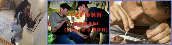 прущие грибы Богданович
