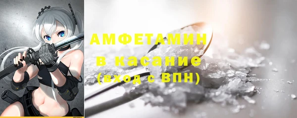 прущие грибы Богданович