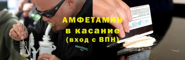прущие грибы Богданович