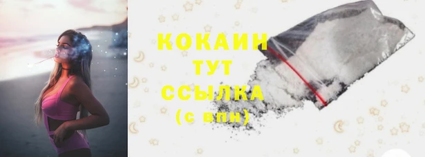 скорость Богородск