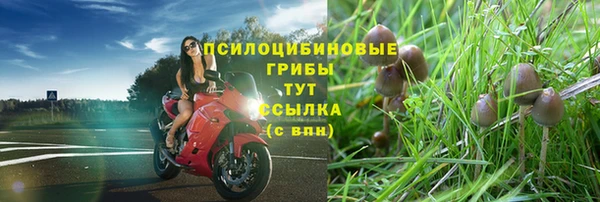 МДМА Богородицк