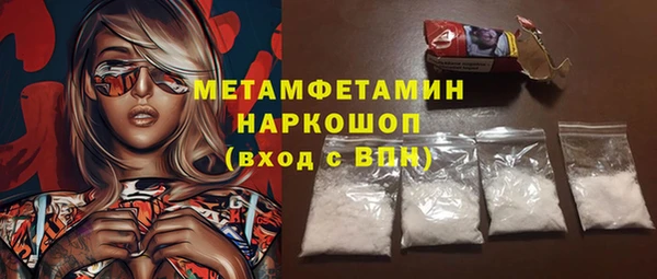 прущие грибы Богданович